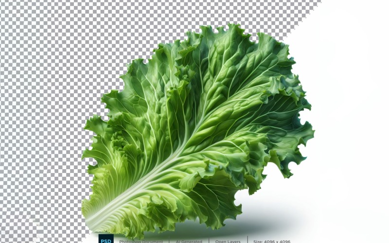 Lettuce Fresh Vegetable Transparent background 01 Vector Graphic