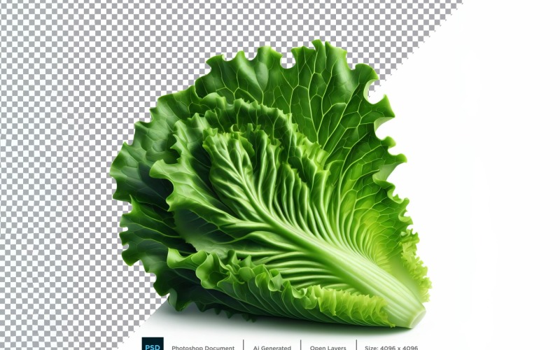 Lettuce Fresh Vegetable Transparent background 02 Vector Graphic