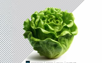 Lettuce Fresh Vegetable Transparent background 05