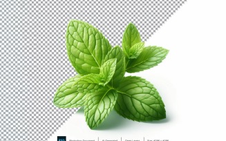Mint Fresh Vegetable Transparent background 01