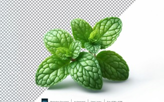 Mint Fresh Vegetable Transparent background 04