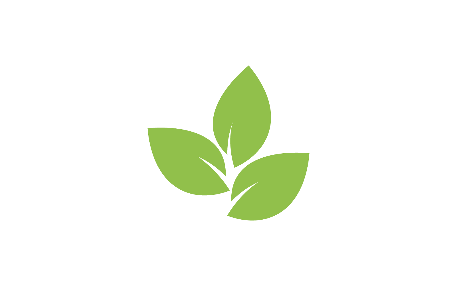 Modello di logo della natura di vettore di progettazione foglia verde