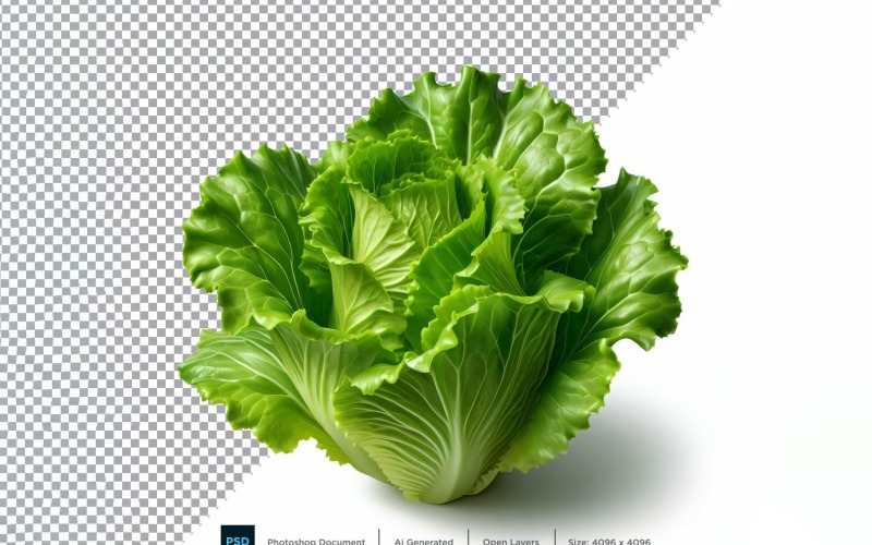 Lettuce Fresh Vegetable Transparent background 08 Vector Graphic
