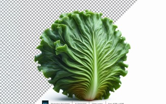 Lettuce Fresh Vegetable Transparent background 11