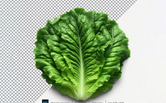 Lettuce Fresh Vegetable Transparent background 12