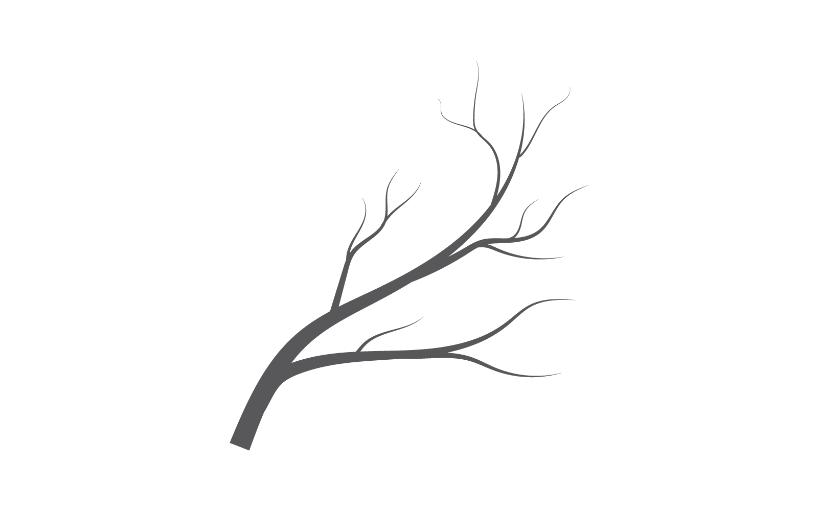 Tree nature illustration logo template vector