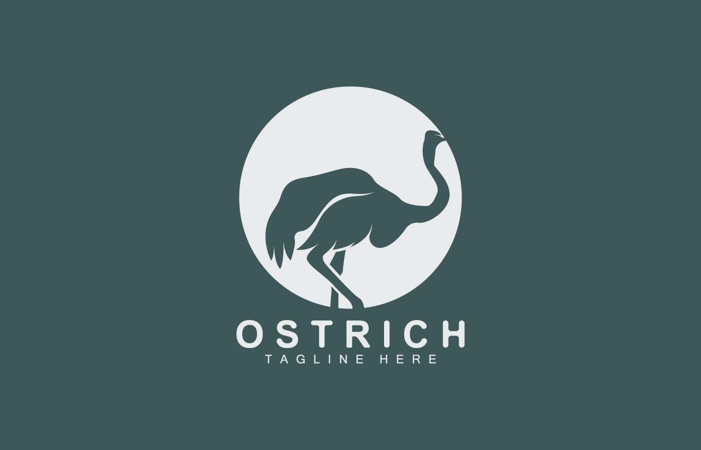 Kit Graphique #404645 Ostrich Heron Divers Modles Web - Logo template Preview