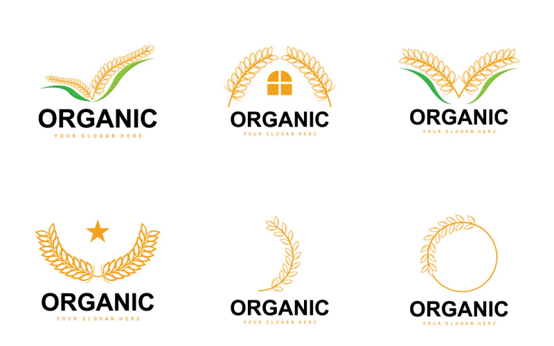 Wheat Rice Logo Agricultural Organic Plant VectorV3 Logo Template