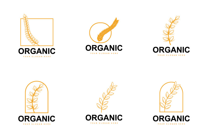 Wheat Rice Logo Agricultural Organic Plant VectorV5 Logo Template