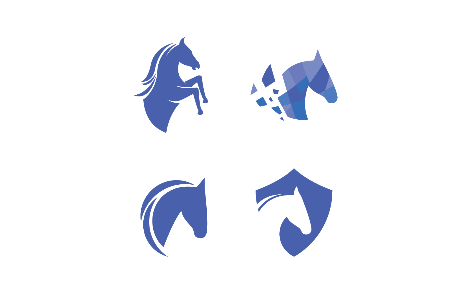 At illüstrasyon logo vektör tasarım şablonu
