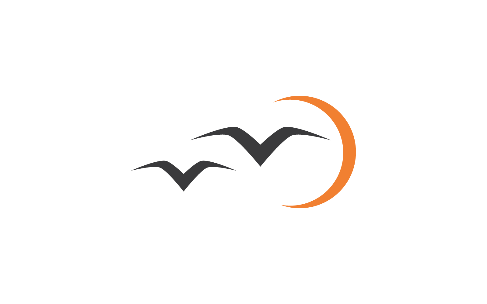 Plantilla vectorial de ilustración del logotipo de gaviota