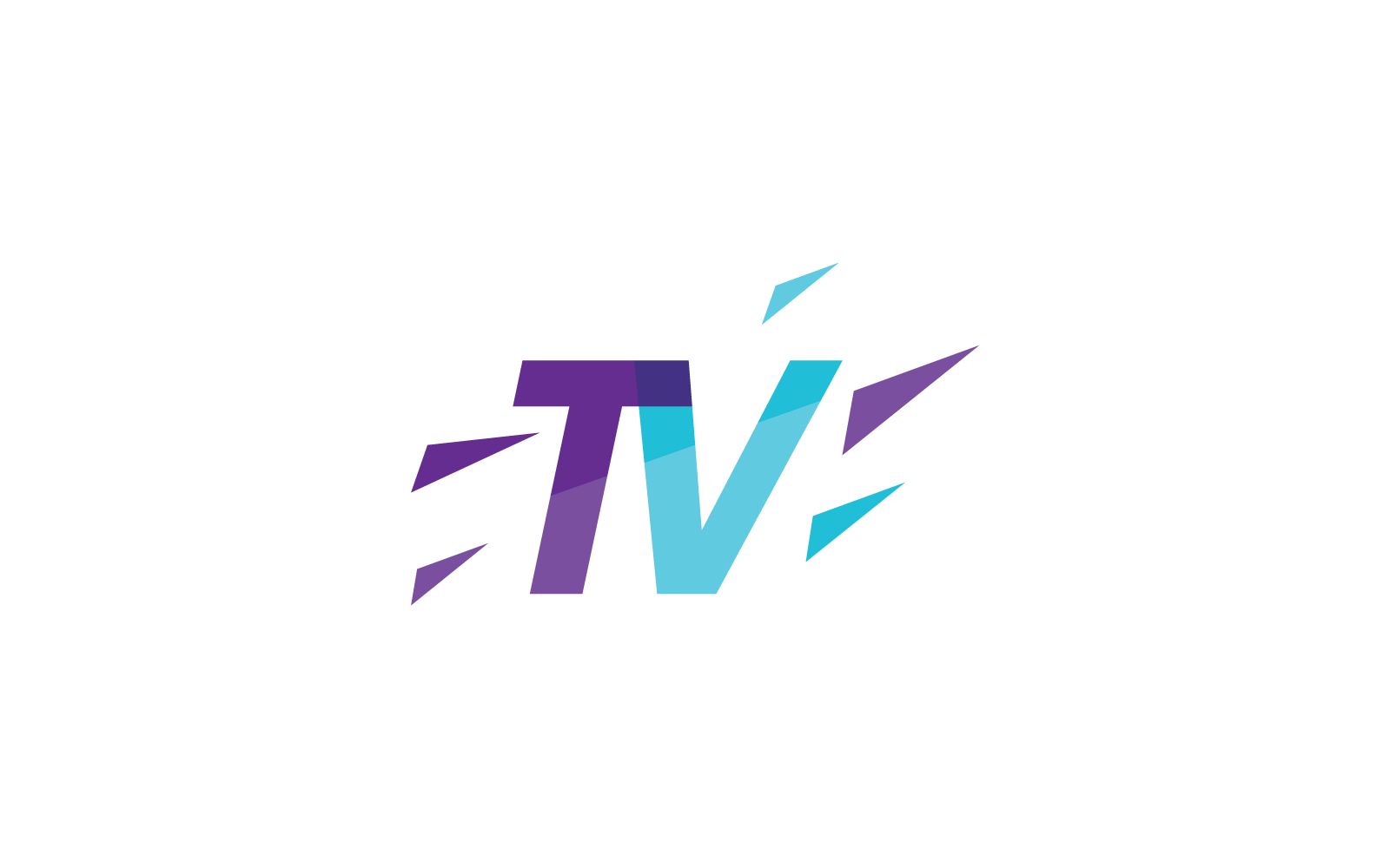 TV logo vector flat design Logo Template