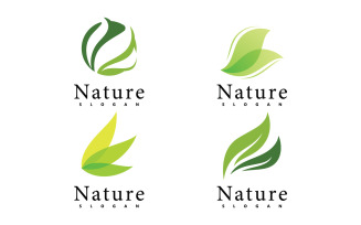 Nature logo vector design template. leaf icon V9