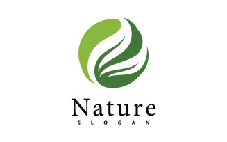 Nature logo vector design template. leaf icon V3