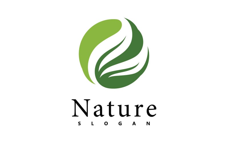 Nature logo vector design template. leaf icon V3 Logo Template