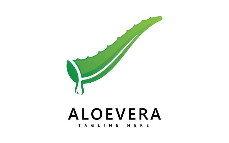 Aloe vera plant logo drop vector design. Aloe vera gel logo icon V1 Logo Template