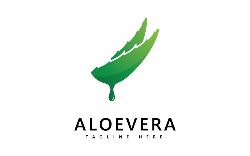 Aloe vera plant logo drop vector design. Aloe vera gel logo icon V3 Logo Template