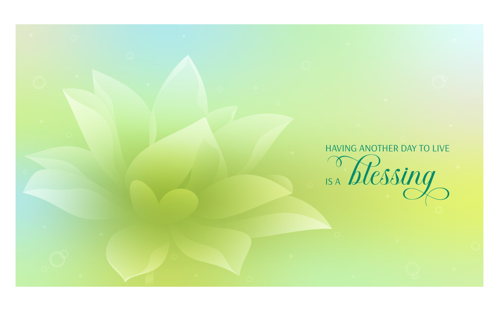 Inspirational Backgrounds 14400x8100px With Lotus And Quote About Blessing