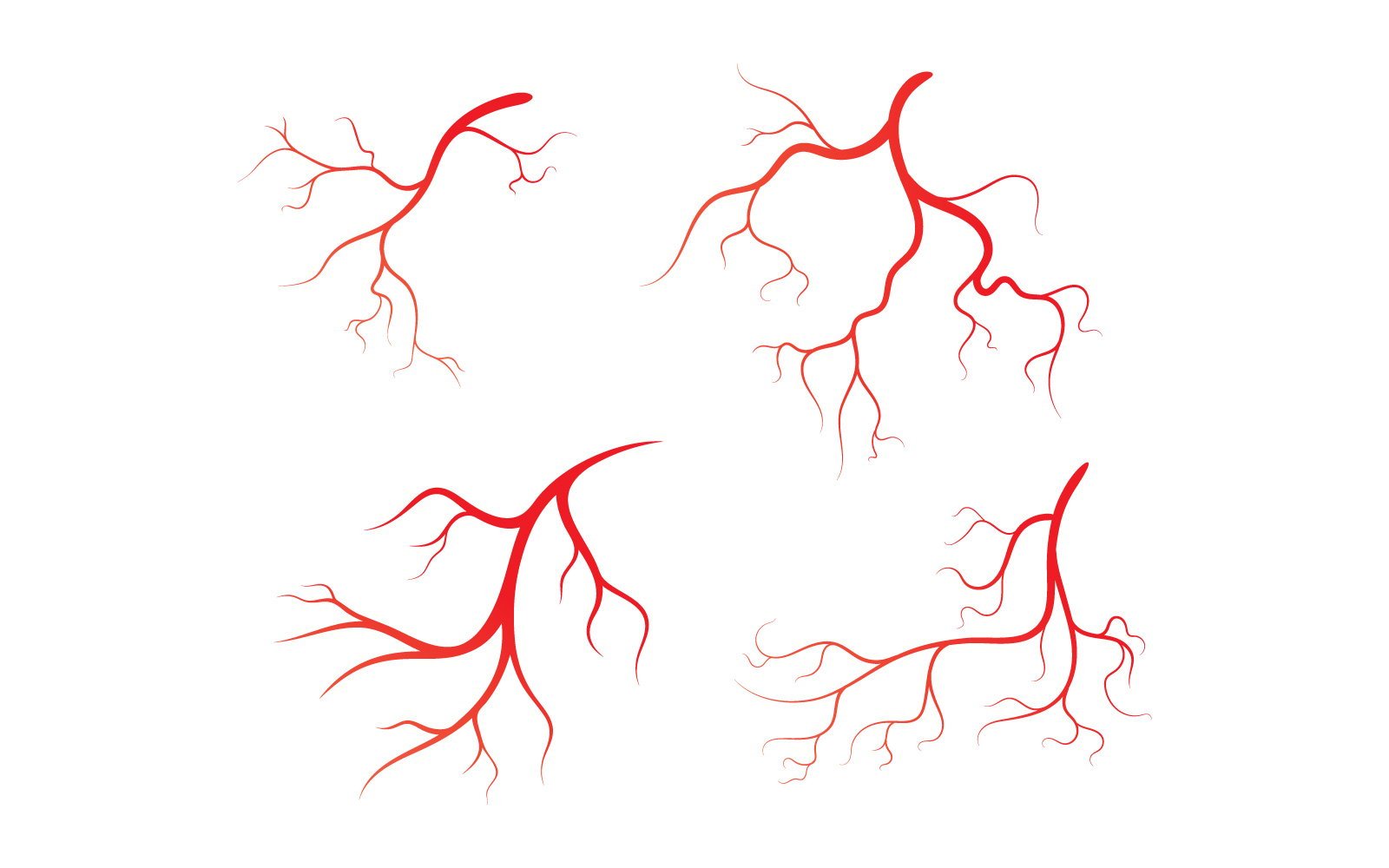 Kit Graphique #408654 Vein Anatomy Divers Modles Web - Logo template Preview