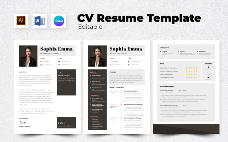 Resume / CV Marketing Analyst V1 Resume Template