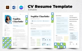 Resume / CV Marketing Analyst V2
