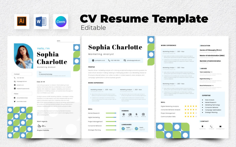 Resume / CV Marketing Analyst V2 Resume Template