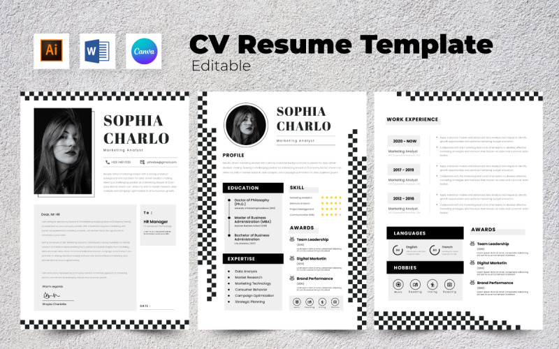Resume / CV Marketing Analyst V5 Resume Template