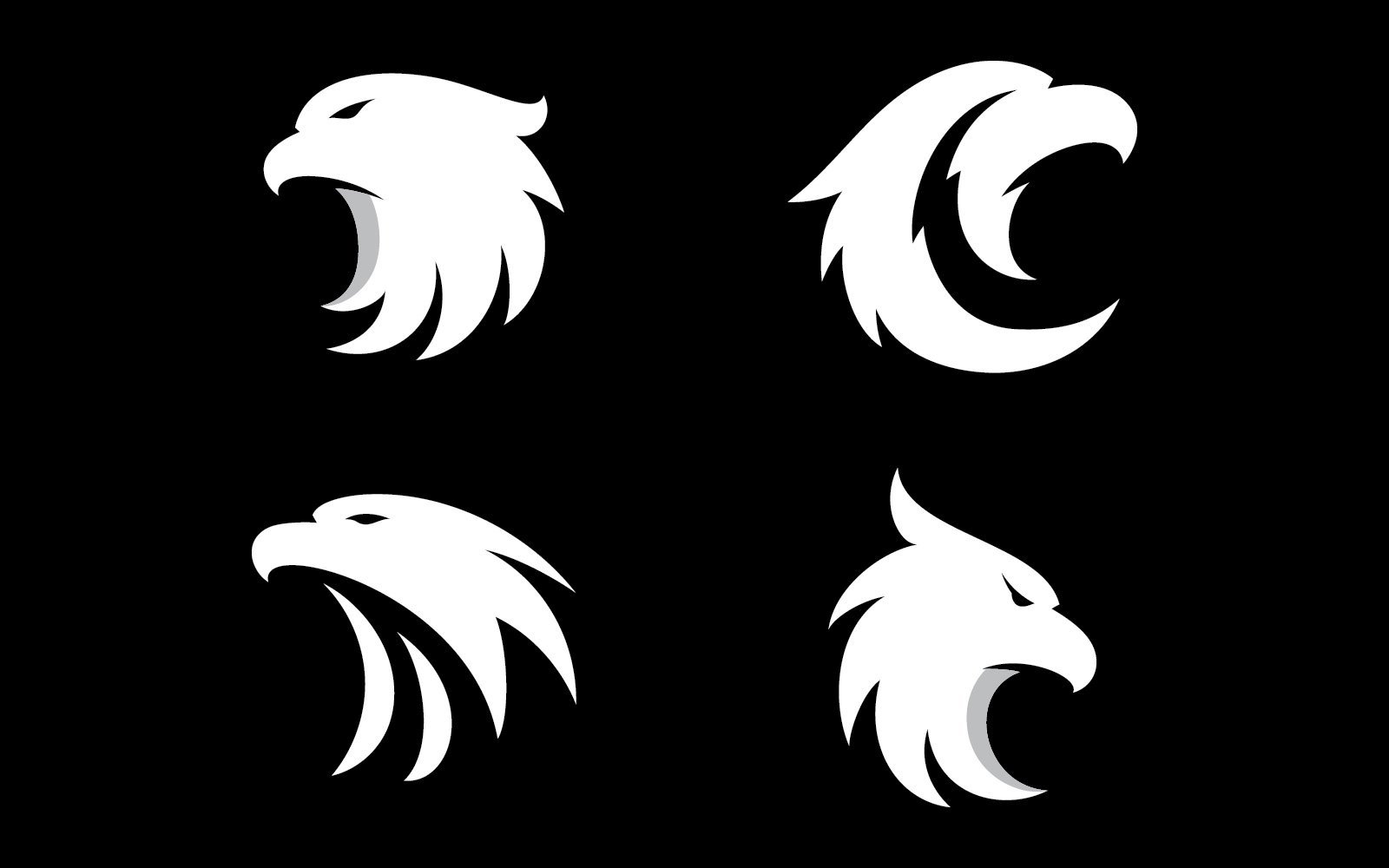 Kit Graphique #408783 Hawk Feather Divers Modles Web - Logo template Preview
