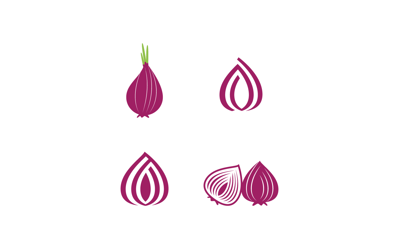 Onion on white background icon vector design Logo Template