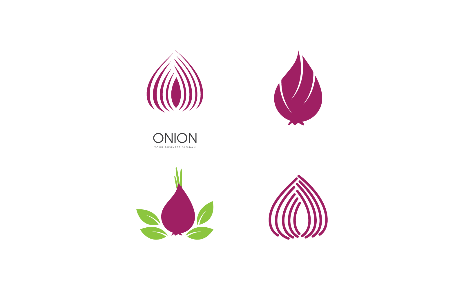Onion on white background vector illustration flat design Logo Template