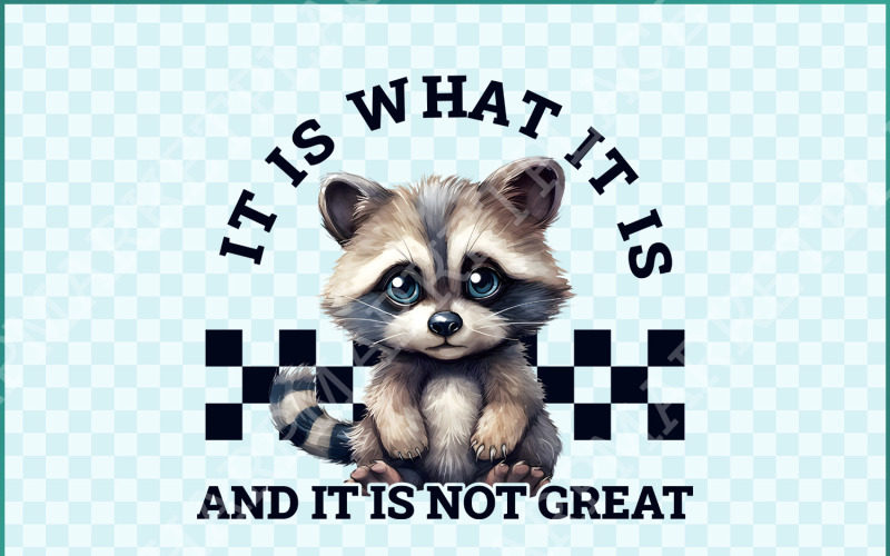 It Is What It Is, And It Is Not Great Racoon T-Shirt Design, Sarcastic Funny Graphic Tee PNG, Illustration