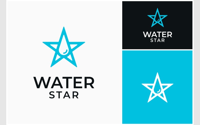 Star Water Drop Modern Logo Logo Template