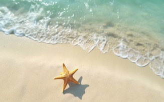 Starfish and seashell on the sandy beach in sea water 370