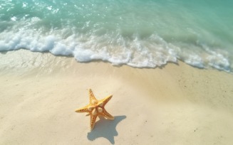 Starfish and seashell on the sandy beach in sea water 372