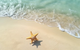 Starfish and seashell on the sandy beach in sea water 375