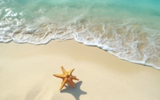 Starfish and seashell on the sandy beach in sea water 377