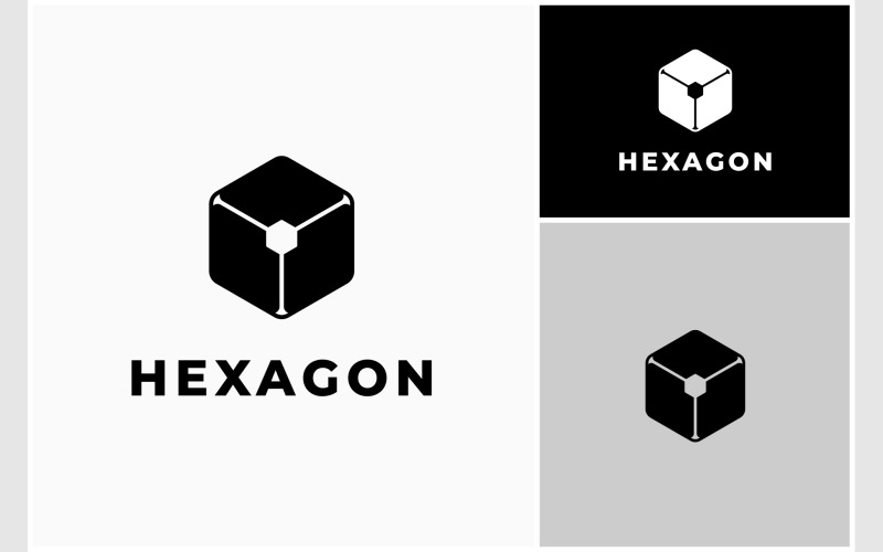 Hexagon Cube Box Simple Logo Logo Template