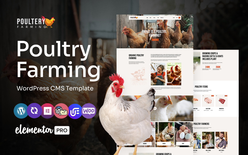 Poultery - Poultry Care And Farming Multipurpose WordPress Elementor Theme WordPress Theme