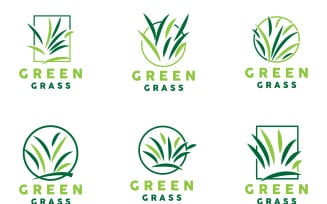 Green Grass Logo Natural Plant LeafV3
