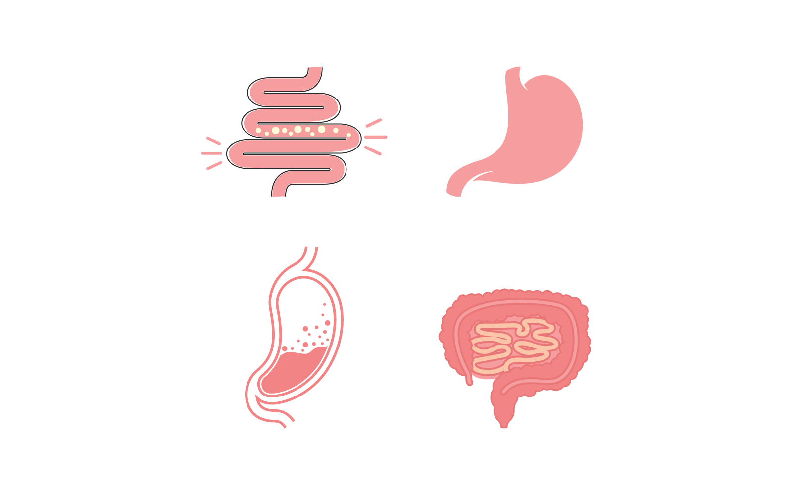 Diseño plano del vector de ilustración de estómago e intestinos