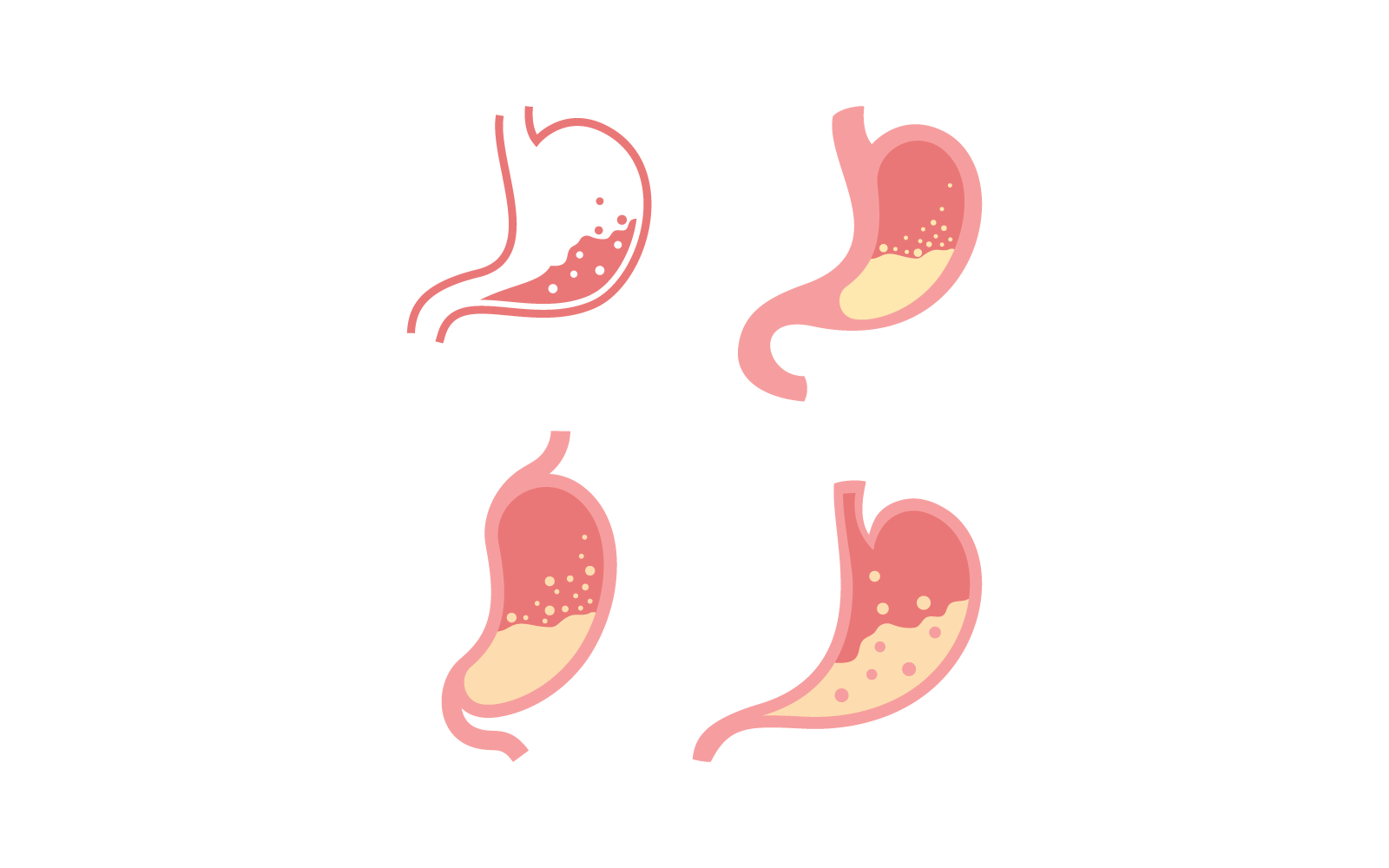 Icono de estómago conjunto ilustración vector diseño plano
