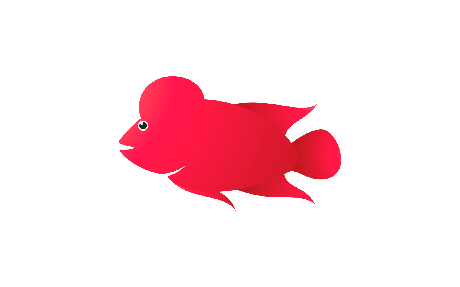 Louhan fish illustration flat design template vector Logo Template