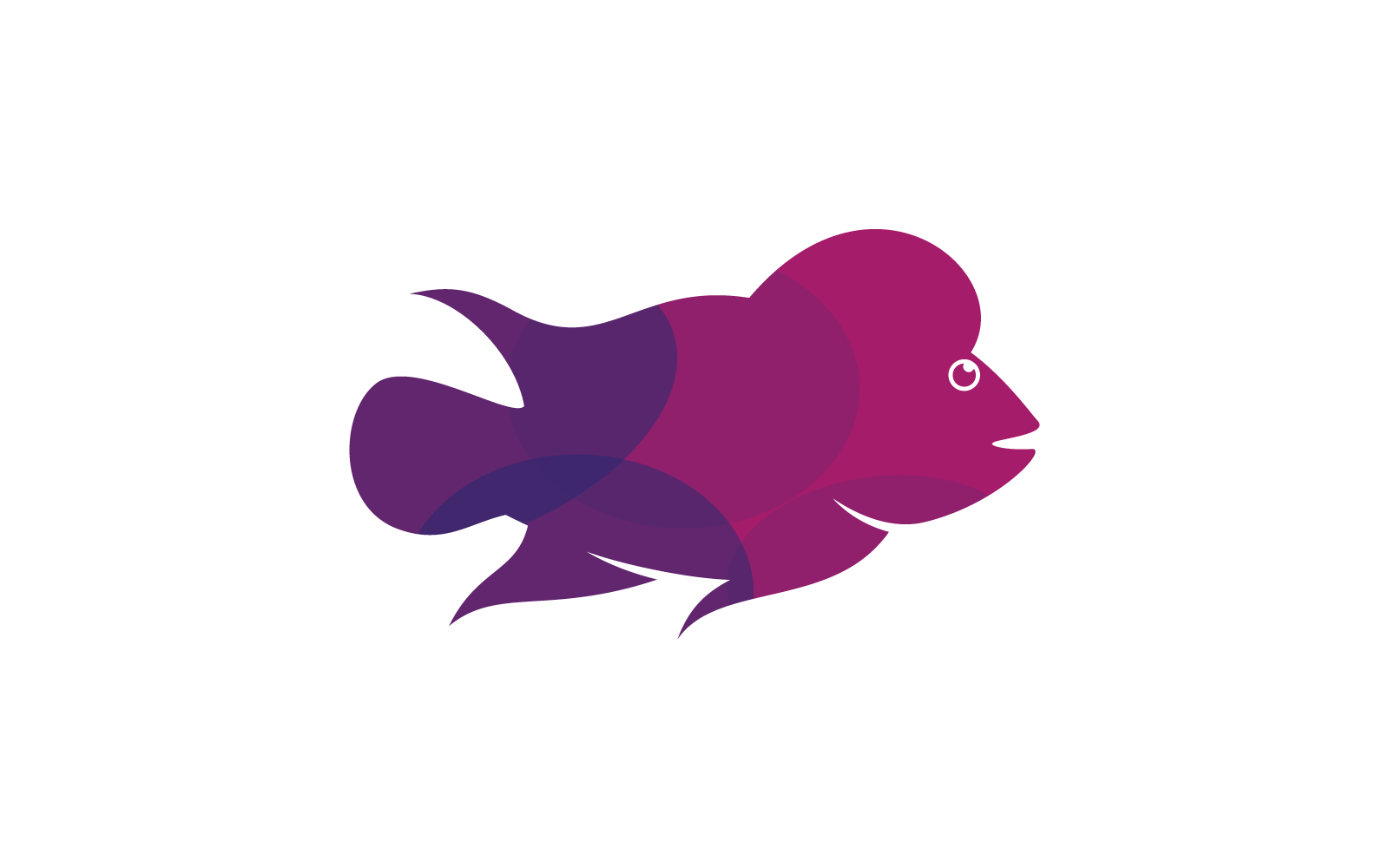 Louhan fish illustration flat design template