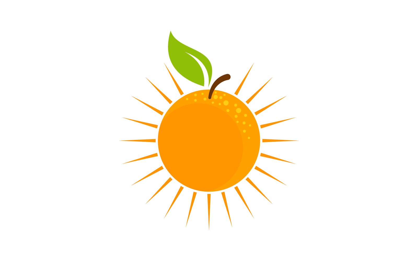 Orange fruit logo Vector illustration flat design template Logo Template