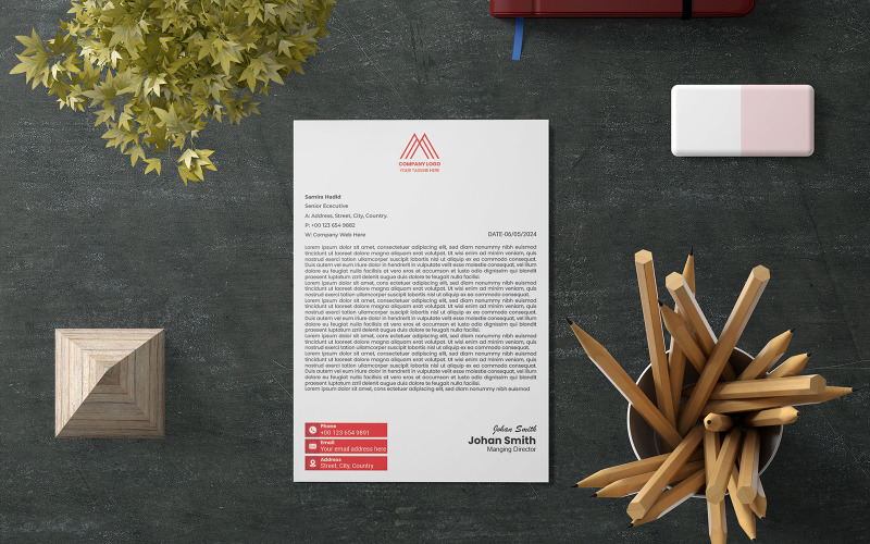 Letterhead, Creative Letterhead, Minimalist Letterhead(120) Corporate Identity