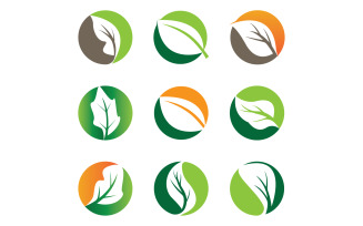 Green leaf tree element logo icon vector template version 2