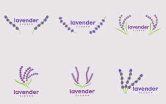 Lavender Logo Elegant Purple Flower PlantV4