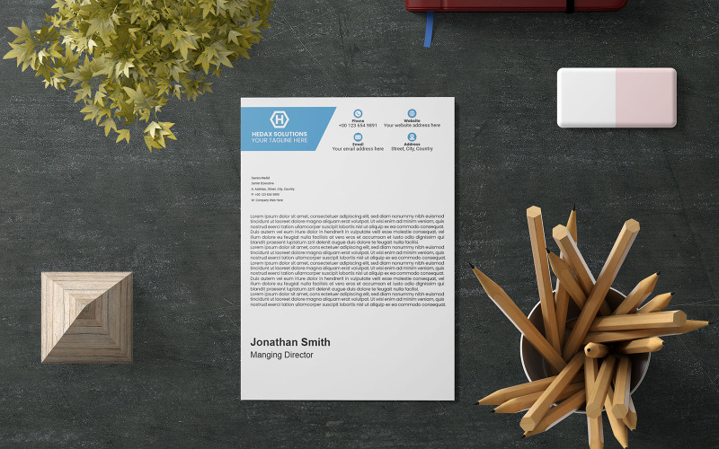 Professional Letterhead, Creative Design(170) Corporate Identity