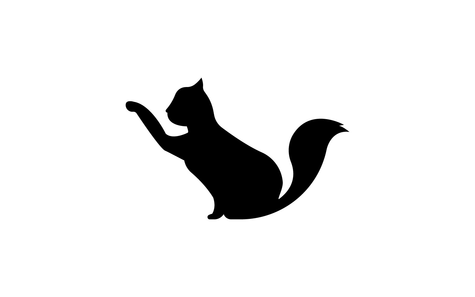 kedi logosu tasarım vektör şablonu