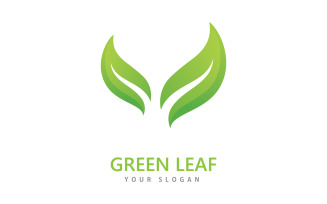 Green leaf logo icon vector template V1